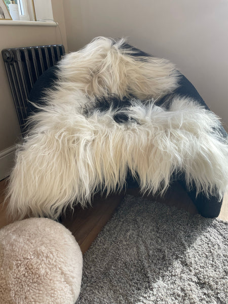 A natural XL black and whilte genuine soft luxury sheepskin rug