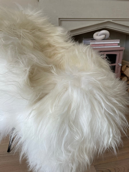 Mollie is a large white Icelandic sheepskin