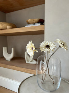 Aesthethic glass vases for flowers