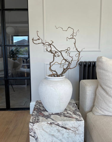 Curly corylus branches for decoration